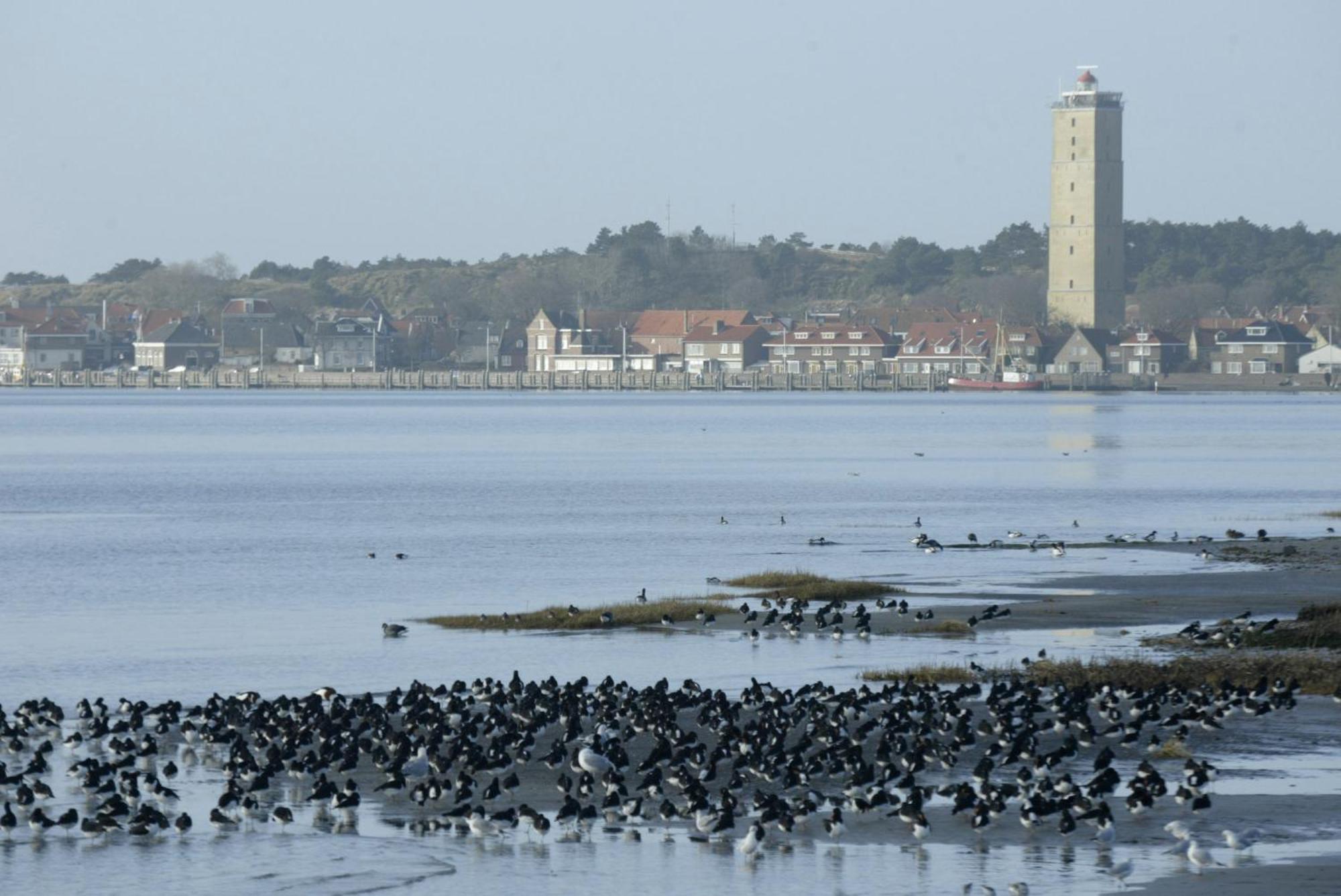 Stayokay Hostel Terschelling West-Terschelling Dış mekan fotoğraf